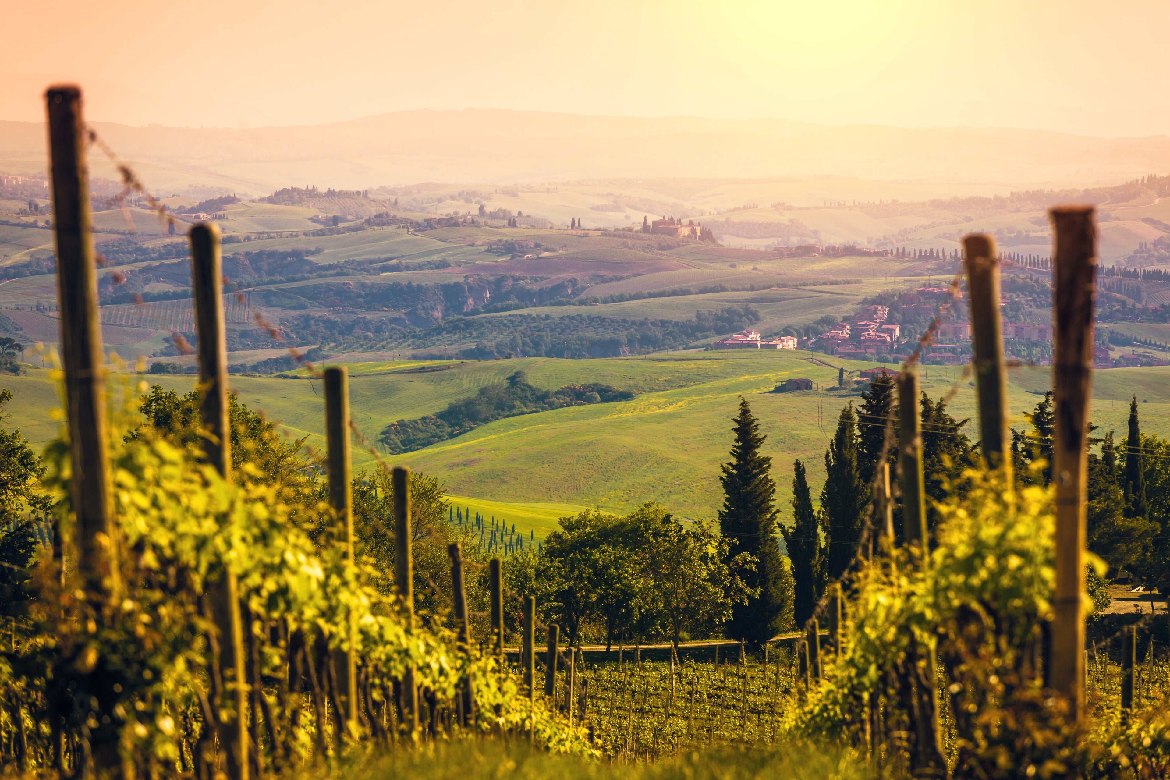 Italy