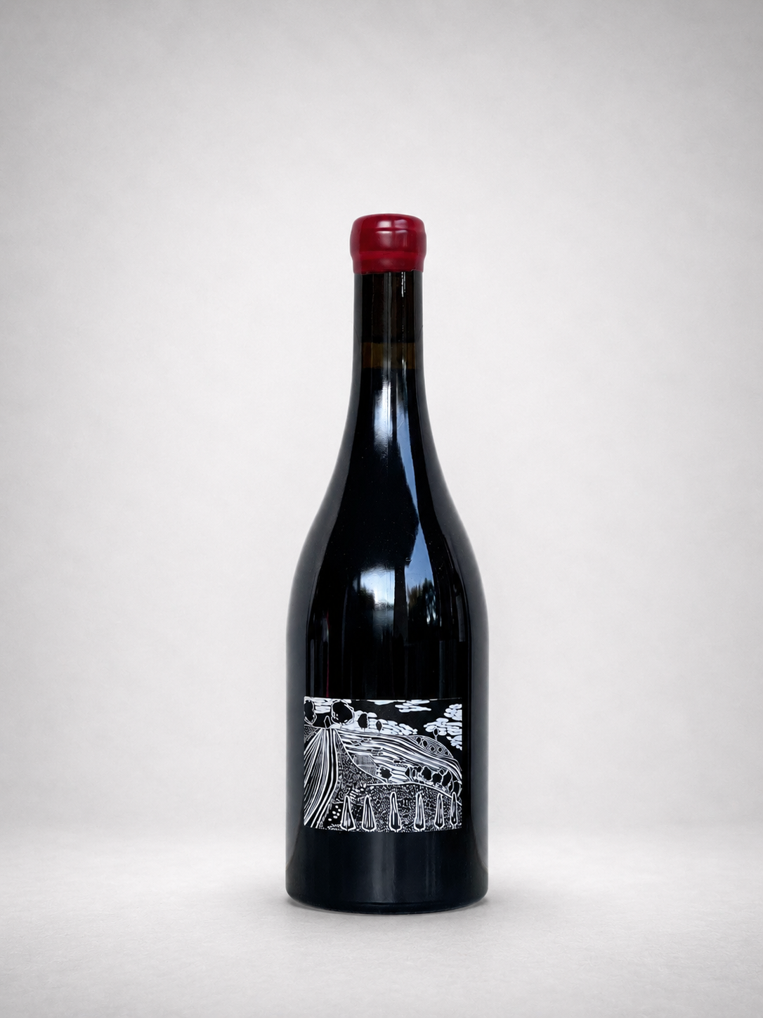 2019 Joshua Cooper "Doug's Vineyard" Pinot Noir